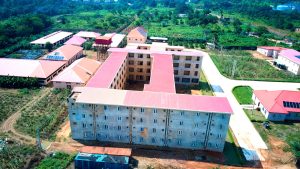 DJI_0354